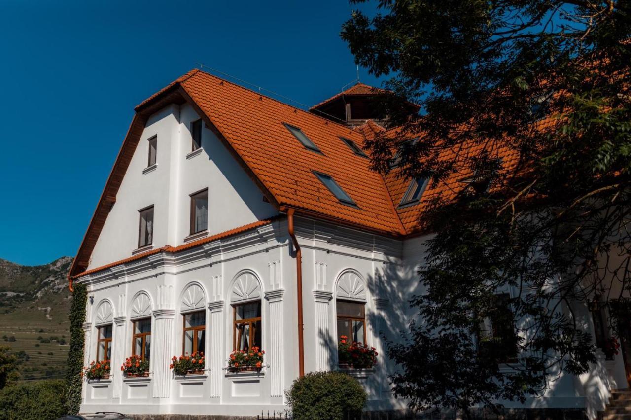 Conacul Secuiesc-Szekelyko Kuria Hotel Coltesti Екстериор снимка