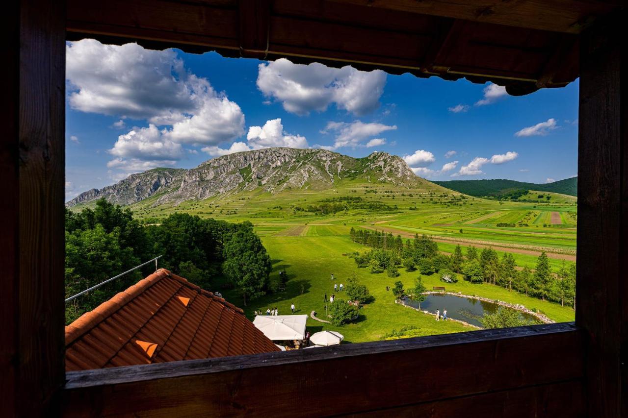 Conacul Secuiesc-Szekelyko Kuria Hotel Coltesti Екстериор снимка